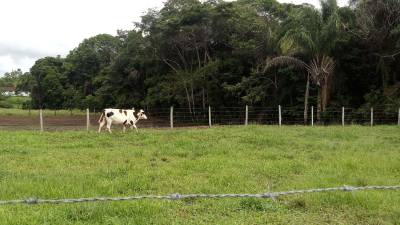 notícia: Seminário vai debater avanços em 10 anos de Cadastro Ambiental Rural