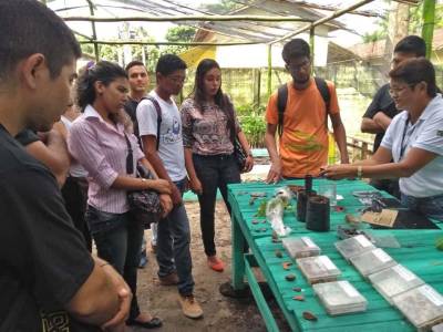 galeria: Engenheira do Ideflor-bio ministra curso de produção de mudas
