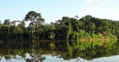 notícia: Pará cria o 'Fundo da Amazônia Oriental' para o desenvolvimento sustentável da região