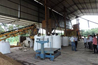 galeria: Votorantim vai usar caroço de açaí como fonte de energia