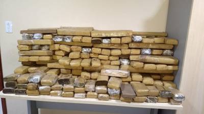 galeria: Polícia Civil apreende cerca de 200 quilos de "limãozinho" durante operação em Mosqueiro