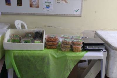 galeria: Venda de produtos agrícolas movimenta Cesta Feira do Turismo