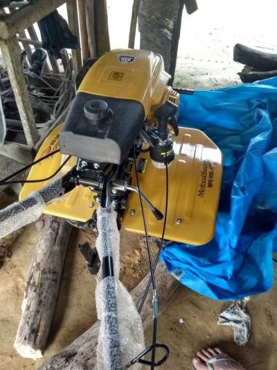 galeria: Extensionistas rurais fazem acompanhamento a projetos de bananicultura em Vigia