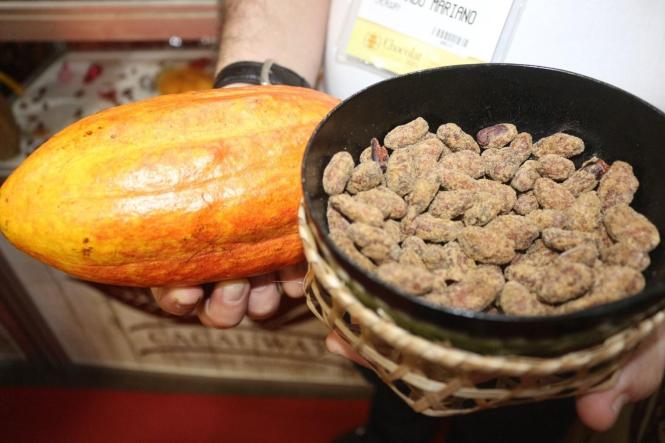 Empresas paraenses do setor do cacau que estão participando do "Chocolat São Paulo 2019", em São Paulo, lançaram novos produtos no evento que vai até amanhã (14). A aposta dos empresários é aproveitar o espaço para divulgar a variedade de amêndoas e chocolates que são produzidos no Pará.
FOTO: ASCOM / SEMAS
DATA: 13.04.2019
SÃO PAULO - SP <div class='credito_fotos'>Foto: ASCOM SEMAS   |   <a href='/midias/2019/originais/02d34c70-fed8-4cee-8e49-d75e7556cfc1.jpg' download><i class='fa-solid fa-download'></i> Download</a></div>