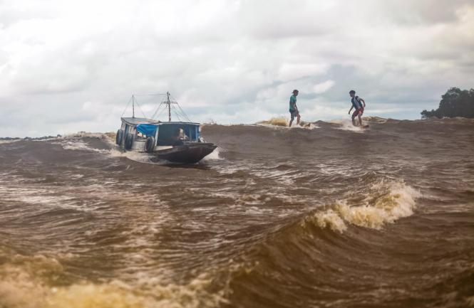 Às margens da floresta, ribeirinhos de São Domingos do Capim se aglomeram nos trapiches para contemplar a chegada da Pororoca. E muitos não conseguem resistir, saem nas rabetas, lanchas e barcos para ver de perto a grande onda que chega fazendo espuma nas águas barrentas da Amazônia.

FOTO: MAYCON NUNES / AGÊNCIA PARÁ
DATA: 22.03.2019
SÃO DOMINGOS DO CAPIM <div class='credito_fotos'>Foto: Maycon Nunes / Ag. Pará   |   <a href='/midias/2019/originais/1e88d4e9-3147-4b98-81b4-eee4bfef3c8b.jpg' download><i class='fa-solid fa-download'></i> Download</a></div>