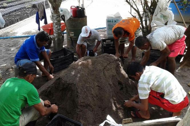 Mais de 40 novos viveiros de mudas foram instalados em municípios paraenses em 2018.

FOTO: ASCOM  IDEFLOR 
DATA: 01.02.2019
BELÉM - PARÁ <div class='credito_fotos'>Foto: Ascom Ideflor   |   <a href='/midias/2019/originais/20948786-d090-413a-a376-fc309bb31a04.jpg' download><i class='fa-solid fa-download'></i> Download</a></div>