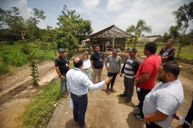 Uma redução de 40% foi registrada no número de fugas nos presídios do Pará, nos dois primeiros meses de 2019, em comparação ao mesmo período de 2018, apontam dados da Assessoria de Segurança Institucional (ASI), da Superintendência do Sistema Penitenciário do Estado (Susipe). De acordo com a Diretoria de Administração Penitenciária da Susipe, mais uma fuga foi interceptada e frustrada na madrugada desta quarta-feira (27), no Presídio Estadual Metropolitano I (PEM I), no Complexo de Marituba (Região Metropolitana de Belém), o segundo maior do Estado. Foi a quinta tentativa de fuga evitada somente nesta semana, em parceria com a Polícia Militar.

FOTO: Akira Onuma / ASCOM SUSIPE
DATA: 28.02.2019
BEL-EM - PARÁ <div class='credito_fotos'>Foto: Akira Onuma / Ascom Susipe   |   <a href='/midias/2019/originais/25902984-1617-4235-aa0d-c720d684f675.jpg' download><i class='fa-solid fa-download'></i> Download</a></div>