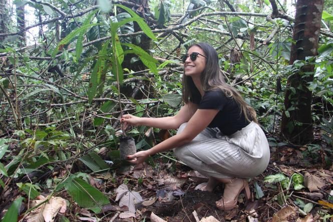 Vinte e quatro mudas de espécies nativas da Amazônia foram oferecidas para que novos servidores da Empresa de Tecnologia da Informação e Comunicação do Pará (Prodepa) plantassem na manhã desta sexta-feira (29), durante o Trote Ecológico organizado pela empresa em comemoração ao Dia Mundial das Florestas - 21 de Março. Antes, houve o lançamento da 5ª edição da Cartilha de Educação Ambiental.

FOTO: ASCOM / PRODEPA
DATA: 29.03.2019
BELÉM - PA <div class='credito_fotos'>Foto: ASCOM / PRODEPA   |   <a href='/midias/2019/originais/25f3a414-4f7c-4361-9812-04a64fedcf2c.jpg' download><i class='fa-solid fa-download'></i> Download</a></div>