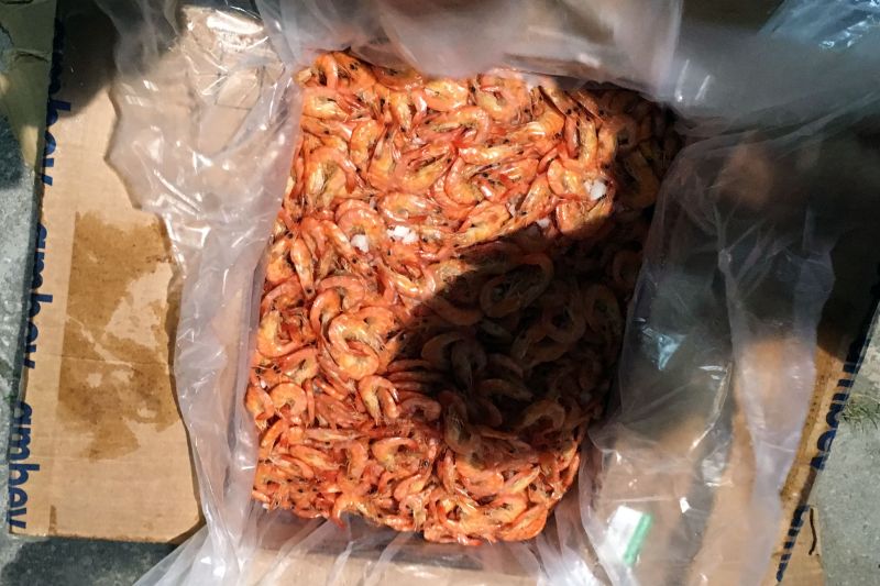 A equipe de controle de mercadorias em trânsito de Portos e Aeroportos da Secretaria de Estado da Fazenda (Sefa) apreendeu no Aeroporto de Belém, 3,8 toneladas de camarão seco vindo de Fortaleza para Belém. As notas fiscais tinham valores subfaturados, para reduzir o pagamento do imposto estadual. A ocorrência foi na última terça-feira (4). <div class='credito_fotos'>Foto: ASCOM / SEFA   |   <a href='/midias/2019/originais/2618_operacaocamarao6.jpg' download><i class='fa-solid fa-download'></i> Download</a></div>