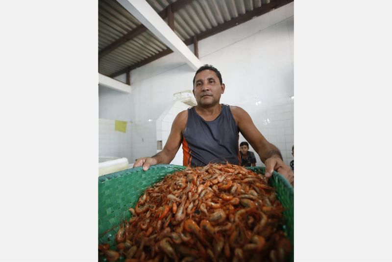 A maior festa popular da ilha do Marajó, o Festival de Camarão de Muaná, contou com a participação do governador Helder Barbalho e de seu vice, Lúcio Vale, na tarde deste sábado (8). Além de participar da programação da comunidade ribeirinha do município e região, que reúne cerca de 30 mil pessoas sempre no primeiro final de semana do mês de junho, o chefe do Executivo estadual marcou presença na inauguração da Fábrica de Biojoias da cidade, onde é beneficiada a fibra do Tururí. <div class='credito_fotos'>Foto: JADER PAES / AG. PARÁ   |   <a href='/midias/2019/originais/2652_foto15.jpg' download><i class='fa-solid fa-download'></i> Download</a></div>