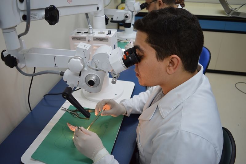 A equipe de pesquisadores do Hospital Regional do Baixo Amazonas (HRBA), localizado em Santarém, tem desenvolvido uma gama de estudos científicos a partir da implantação do Centro de Estudos e Pesquisas da unidade, em fevereiro deste ano. 

FOTO: ASCOM / HRBA
DATA: 11.06.2019
SANTARÉM - PA <div class='credito_fotos'>Foto: Ascom / HRBA   |   <a href='/midias/2019/originais/2666_centrodeestudosepesquisas.jpg' download><i class='fa-solid fa-download'></i> Download</a></div>