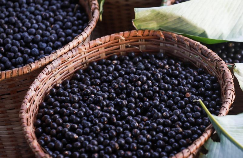 GOVERNADOR NO MUNICIPIO DE BREVES


FOTO: MARCO SANTOS / AGÊNCIA PARÁ
DATA: 03.07.2019
BELÉM - PARÁ <div class='credito_fotos'>Foto: Marco Santos / Ag. Pará   |   <a href='/midias/2019/originais/2836_-1171496746722089230_img_3682.jpg' download><i class='fa-solid fa-download'></i> Download</a></div>