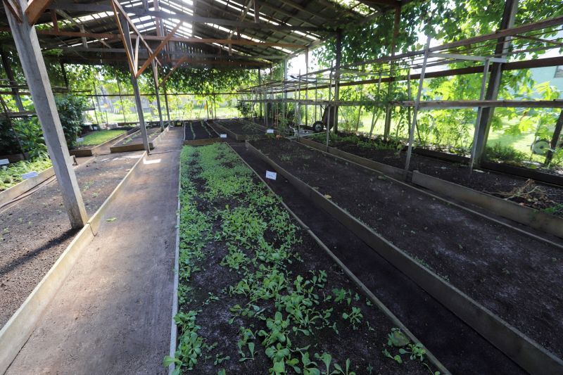 GOVERNADOR NO MUNICIPIO DE BREVES


FOTO: MARCO SANTOS / AGÊNCIA PARÁ
DATA: 03.07.2019
BELÉM - PARÁ <div class='credito_fotos'>Foto: Marco Santos / Ag. Pará   |   <a href='/midias/2019/originais/2836_img_4638.jpg' download><i class='fa-solid fa-download'></i> Download</a></div>