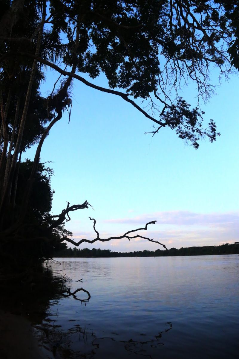 Jacareacanga vai receber a caravana do governo do estado "Por Todo o Pará"

FOTO: BRUNO CECIM / AGÊNCIA PARÁ
DATA: 08.07.2019
JACAREACANGA / PARÁ <div class='credito_fotos'>Foto: Bruno Cecim / Ag.Pará   |   <a href='/midias/2019/originais/2871_photoeditor_20190708_192918302.jpg' download><i class='fa-solid fa-download'></i> Download</a></div>