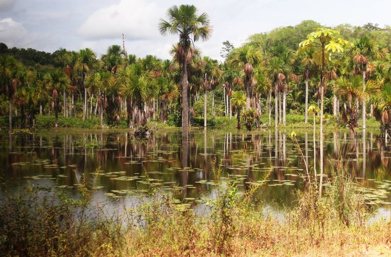 Jacareacanga vai receber a caravana do governo do estado "Por Todo o Pará"

FOTO: BRUNO CECIM / AGÊNCIA PARÁ
DATA: 08.07.2019
JACAREACANGA / PARÁ <div class='credito_fotos'>Foto: Bruno Cecim / Ag.Pará   |   <a href='/midias/2019/originais/2871_photoeditor_20190708_222507931.jpg' download><i class='fa-solid fa-download'></i> Download</a></div>