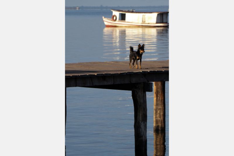  <div class='credito_fotos'>Foto: JADER PAES / AG. PARÁ   |   <a href='/midias/2019/originais/2880_lrm_export_20655025082015_20190710_084427927.jpg' download><i class='fa-solid fa-download'></i> Download</a></div>