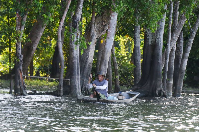  <div class='credito_fotos'>Foto: JADER PAES / AG. PARÁ   |   <a href='/midias/2019/originais/2880_lrm_export_9330354509721_20190709_192814204.jpg' download><i class='fa-solid fa-download'></i> Download</a></div>