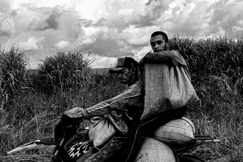  <div class='credito_fotos'>Foto: JADER PAES / AG. PARÁ   |   <a href='/midias/2019/originais/2880_lrm_export_9914181884029_20190709_193758031.jpg' download><i class='fa-solid fa-download'></i> Download</a></div>