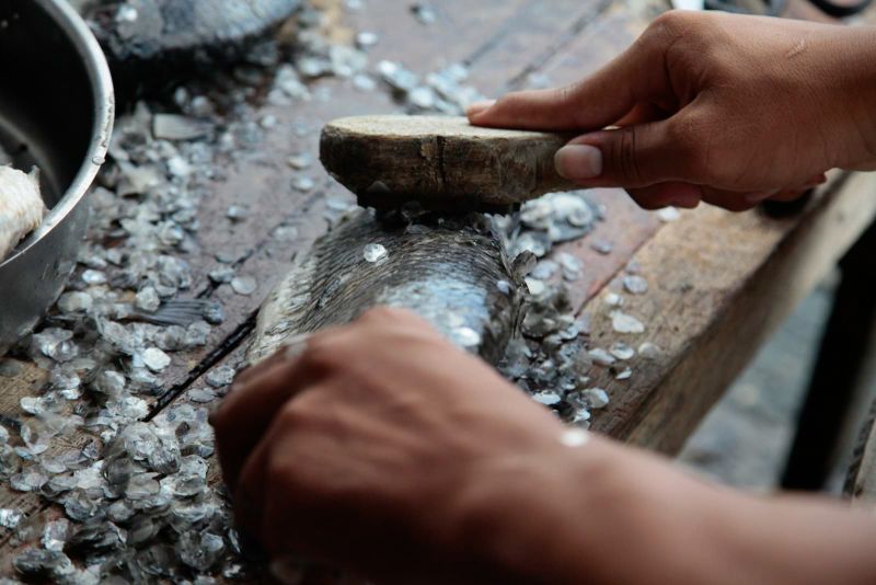 PORTO DE MOZ VAI RECEBER A CARAVANA DO ESTADO " POR TODO O PARÁ" NO DIA 11 DE JULHO.


FOTO: RICARDO AMANAJÁS / AGÊNCIA PARÁ
DATA: 10.07.2019
PORTO DE MOZ - PARÁ <div class='credito_fotos'>Foto: Ricardo Amanajás / Ag. Pará   |   <a href='/midias/2019/originais/2884__mg_2727.jpg' download><i class='fa-solid fa-download'></i> Download</a></div>