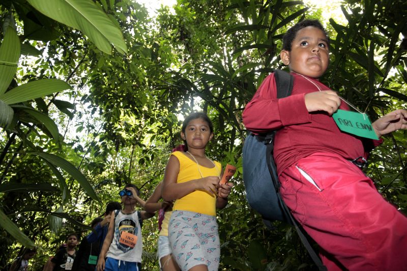 As instruções do condutor Diego Neres eram muito claras: – Não pode arrancar folha das árvores; não pode pegar nenhum bichinho que passar por vocês; não pode jogar lixo no chão. As informações foram repassadas a 25 crianças que olhavam atentas e animadas para o instrutor, que trabalha com esporte de aventuras há quatro anos e, especificamente, com crianças, há três. Em seguida, todos iniciaram uma trilha no Parque Estadual do Utinga (PEUT), onde é realizada a Colônia de Férias, sob o comando da equipe do Amazônia Ventura. <div class='credito_fotos'>Foto: Jader Paes / Agência Pará   |   <a href='/midias/2019/originais/2924__v5o1053.jpg' download><i class='fa-solid fa-download'></i> Download</a></div>