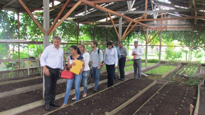 Diretora executiva do HRPM recepciona visita de representantes da saúde do I Seminário Regional de Malária, realizado em Breves. A gestora apresenta a horta 100% orgânica aos visitantes.

FOTO: ASCOM / HRPM
DATA: 18.04.2019
BELÉM - PARÁ <div class='credito_fotos'>Foto: Ascom HRPM   |   <a href='/midias/2019/originais/2aadf79b-82bb-4a77-b17b-e09e936004b3.jpg' download><i class='fa-solid fa-download'></i> Download</a></div>