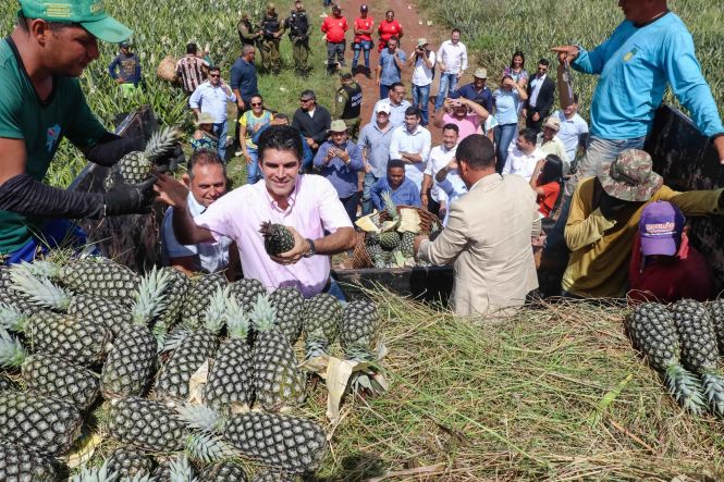O governador Hélder Barbalho visitou nesta sexta (24), a cidade de Floresta do Araguaia, no Sul do Pará, que está sediando, de 23/05 a 26/05, a 26° edição do Festival do Abacaxi, festa tradicional da região. O município é o maior produtor de abacaxi do país, com uma safra aproximada de 350 milhões de frutos por ano, segundo dados da Empresa de Assistência Técnica e Extensão Rural do Estado do Pará (Emater).

FOTO: DIEGO INOVE / DIVULGAÇÃO
DATA: 24.05.2019
FLORESTA DO ARAGUAIA - PARÁ <div class='credito_fotos'>Foto: DIEGO INOVE / DIVULGAÇÃO   |   <a href='/midias/2019/originais/2b2754f6-8796-4646-91be-1ccbdbebb15f.jpg' download><i class='fa-solid fa-download'></i> Download</a></div>
