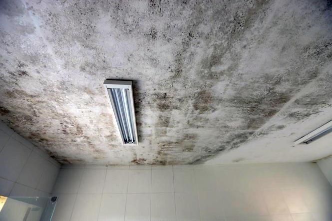 Na manhã desta quarta-feira (9), o governador do Estado, Helder Barbalho, esteve em Abaetetuba, nordeste paraense, onde realizou visita técnica às instalações do Hospital Municipal Santa Rosa. Helder vistoriou as obras que, segundo a prefeitura municipal, não foram concluídas pelo governo anterior.

FOTO: MARCO SANTOS / AG. PARÁ
DATA: 09.01.2019
ABAETETUBA - PARÁ <div class='credito_fotos'>Foto: Marco Santos / Ag. Pará   |   <a href='/midias/2019/originais/2e7cecfc-a02b-48eb-a320-7396ed4efb99.jpg' download><i class='fa-solid fa-download'></i> Download</a></div>