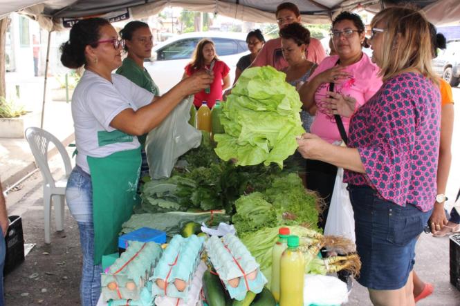 A 1ª Feira da Agricultura Familiar em 2019, que oferece produtos agroecológicos ao público – sem agrotóxicos, adubados por meio de compostagem – vai ocorrer na frente da sede da Secretaria de Meio Ambiente e Sustentabilidade (Semas), na sexta-feira (12), a partir de 7 horas, direcionado ao público da vizinhança do órgão ambiental do Pará. A atividade é um dos frutos do Programa de Educação Ambiental e Agricultura Familiar (Peaaf/PA), sob liderança da Coordenadoria de Educação Ambiental (Ceam), da Semas.

FOTO; ASCOM SEMAS
DATA: 10.04.2019
BELÉM - PA <div class='credito_fotos'>Foto: ASCOM / SEMAS   |   <a href='/midias/2019/originais/2fc89c48-a993-48a9-b76e-de81a298a3c4.jpg' download><i class='fa-solid fa-download'></i> Download</a></div>