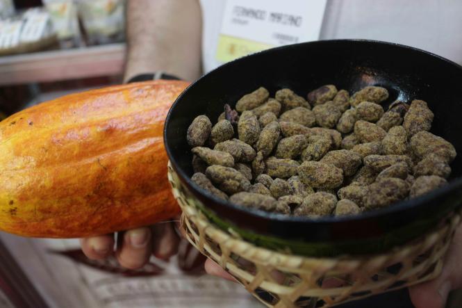 A participação do Pará no "Chocolat São Paulo 2019" foi considerada um sucesso pelos expositores. O evento na capital paulistana chega ao fim neste domingo(14) e reuniu 10 estandes com produtos da cadeia produtiva do cacau paraense e de outros estados. A maioria vendeu tudo o que trouxe, mas também fechou negócios, divulgou seus produtos, conversou com visitantes e adquiriu conhecimento, trocando experiências com outros empresários do ramo que também estavam presentes em São Paulo.

FOTO: DIVULGAÇÃO / SEMAS
DATA: 14.04.2019
SÃO PAULO - SP <div class='credito_fotos'>Foto: ASCOM SEMAS   |   <a href='/midias/2019/originais/30a2e565-77f8-4ece-92d2-f90b74cf93e8.jpg' download><i class='fa-solid fa-download'></i> Download</a></div>