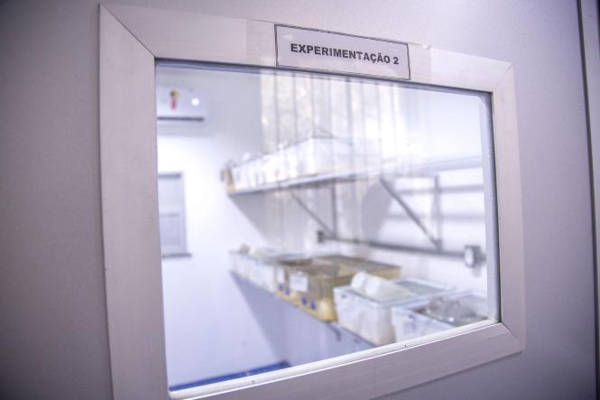 Biotério do Centro de Ciências Biológicas e da Saúde (CCBS), CAMPUS II da Universidade do Estado do Pará (Uepa).

FOTO: NAILANA THIELY
DATA: 12.04.19
BELÉM-PARÁ <div class='credito_fotos'>Foto: Nailana Thiely / Ascom Uepa   |   <a href='/midias/2019/originais/30b1dd7e-4b40-444f-aa55-2232bd393e10.jpg' download><i class='fa-solid fa-download'></i> Download</a></div>