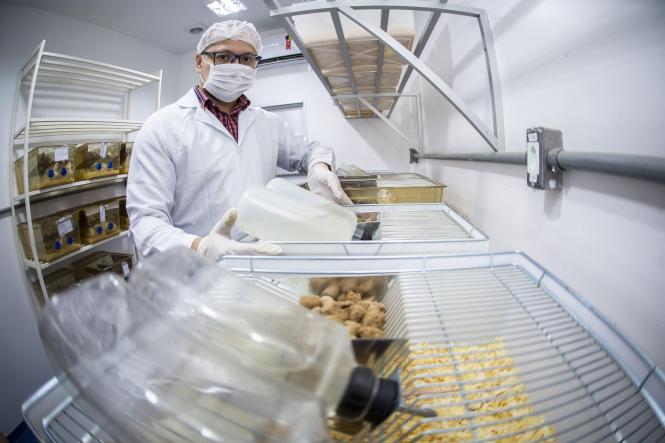 Biotério do Centro de Ciências Biológicas e da Saúde (CCBS), CAMPUS II da Universidade do Estado do Pará (Uepa).

FOTO: NAILANA THIELY
DATA: 12.04.19
BELÉM-PARÁ <div class='credito_fotos'>Foto: Nailana Thiely / Ascom Uepa   |   <a href='/midias/2019/originais/39972c7e-8fbd-47a6-82e8-02d8a01a3775.jpg' download><i class='fa-solid fa-download'></i> Download</a></div>