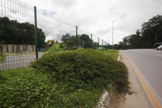 Às vésperas das últimas eleições estaduais, o governo anterior abriu ao tráfego o prolongamento da Avenida João Paulo II até o viaduto do Coqueiro, em Ananindeua. Porém, a obra ainda não está concluída. Há serviços inacabados, como a construção de passarelas e implantação de um sistema de tratamento de água lançadas nos mananciais do Utinga pela drenagem implantada. Além disso, as obras implantadas estão sem manutenção, como iluminação pública precária em alguns trechos e a limpeza nos canteiros centrais e laterais da avenida. Por causa da não conclusão das obras, o Governo atual não recebeu a via. Em função disso, ela não foi repassada aos municípios para a devida responsabilidade, como Belém e Ananindeua – já que o prolongamento da via percorre os dois municípios.

FOTO: FERNANDO ARAÚJO / AGÊNCIA PARÁ
DATA: 21.02.2019
BELÉM - PA <div class='credito_fotos'>Foto: Fernando Araújo/Ag. Pará   |   <a href='/midias/2019/originais/425a4b8c-9ca4-4891-82f5-14863a2a98de.jpg' download><i class='fa-solid fa-download'></i> Download</a></div>