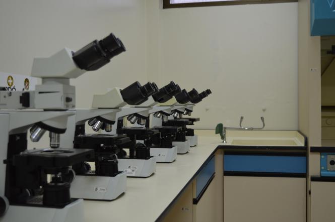 Hospital Regional de Santarém inaugura primeiro Centro de Estudos e Pesquisas da Amazônia
Na foto : Neurocirurgião Erik Jennings

FOTO: DIVULGAÇÃO
DATA: 14.02.2019
SANTARÉM - PARÁ <div class='credito_fotos'>Foto: Divulgação   |   <a href='/midias/2019/originais/452cd081-9e53-46c2-a66d-d8b846769e2f.jpg' download><i class='fa-solid fa-download'></i> Download</a></div>