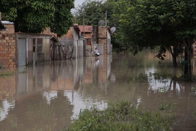 Sem Descrição <div class='credito_fotos'>Foto: Fernando Araújo/Ag. Pará   |   <a href='/midias/2019/originais/47255278-7fa2-4447-abef-e060e94a86ad.jpg' download><i class='fa-solid fa-download'></i> Download</a></div>