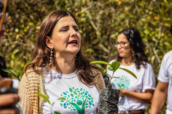 Trezentas e cinquenta mudas de árvores foram plantadas, na manhã desta sexta-feira (29), no Parque Estadual do Utinga, durante mais uma atividade da programação da Semana da Festa Anual das Árvores, iniciada no último dia 25. O evento é promovido pelo Instituto de Desenvolvimento Florestal e da Biodiversidade do Estado do Pará (Ideflor-BIO) e conta também com palestras e trilhas ecológicas voltadas à educação e conscientização ambiental.
Na foto Karla Bengtson.

FOTO: MAYCON NUNES / AGÊNCIA PARÁ
DATA: 29.03.2019
BELÉM - PA <div class='credito_fotos'>Foto: Maycon Nunes / Ag. Pará   |   <a href='/midias/2019/originais/499376f9-c801-49d4-91c8-6f801ba97e27.jpg' download><i class='fa-solid fa-download'></i> Download</a></div>
