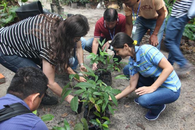 A Prodepa realiza, nesta sexta-feira (29), uma programação especial em comemoração ao Dia Mundial das Florestas, com lançamento da 5ª edição da Cartilha de Educação Ambiental e o Trote Ecológico (Plantio de mudas de árvores) com os novos colaboradores.

FOTO: ASCOM / PRODEPA
DATA: 28.03.2019
BELE´M - PARÁ <div class='credito_fotos'>Foto: Ascom Prodepa   |   <a href='/midias/2019/originais/4c756af8-668c-435c-aa85-8ddcaf06a647.jpg' download><i class='fa-solid fa-download'></i> Download</a></div>