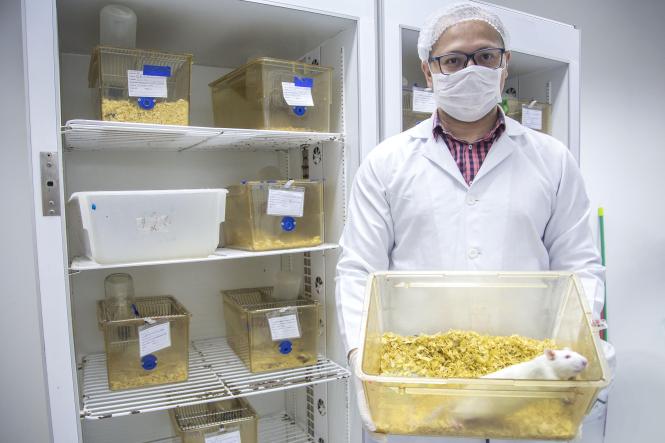 Biotério do Centro de Ciências Biológicas e da Saúde (CCBS), CAMPUS II da Universidade do Estado do Pará (Uepa).

FOTO: NAILANA THIELY
DATA: 12.04.19
BELÉM-PARÁ <div class='credito_fotos'>Foto: Nailana Thiely / Ascom Uepa   |   <a href='/midias/2019/originais/4da0c9a0-4c27-4a73-9118-4b6ca478c92b.jpg' download><i class='fa-solid fa-download'></i> Download</a></div>