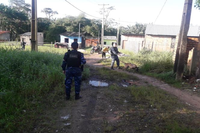 A Polícia Civil deflagrou, na manhã desta terça-feira (14), a operação denominada “Ragnarok”, que resultou em seis prisões e nas apreensões de porções de droga, na área do conjunto Eduardo Angelim, no distrito de Icoaraci, em Belém. O objetivo da missão foi combater integrantes de facções criminosas responsáveis por crimes na área do residencial. Ao todo, a operação contou com participação de mais de 100 agentes de Segurança Pública, entre policiais civis, militares e guardas municipais. Os presos foram identificados como Mauricio Conceição Souto; Mariane Rocha de Souza; Elzicleia Oliveira Rocha; Robson Luiz Oliveira da Silva; Sebastião Gomes Silva e Wellington de Araujo Rosa.

FOTO: ASCOM / POLÍCIA CIVIL
DATA: 14.05.2019
BELÉM - PARÁ <div class='credito_fotos'>Foto: Ascom / Policia Civil   |   <a href='/midias/2019/originais/4f8558d2-6d95-4327-925d-340e811458d7.jpg' download><i class='fa-solid fa-download'></i> Download</a></div>