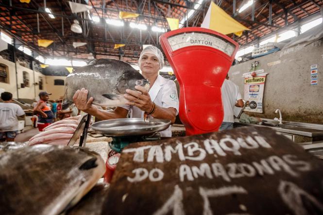 Uma equipe de fiscais do Procon do Pará esteve nesta terça-feira (16), desde às 8h30, no mercado de peixe do Ver-o-Peso, realizando ações de fiscalização dentro da Operação Páscoa 2019. O trabalho realizado pela Diretoria de Proteção e Defesa do Consumidor do Pará, vinculada à Secretaria de Estado de Justiça e Direitos Humanos (Sejudh), busca identificar e inibir abusos na comercialização de pescado e outros produtos muito procurados nesta época do ano.

FOTO: FERNANDO ARAÚJO / AGÊNCIA PARÁ
DATA: 16.04.2019
BELÉM - PARÁ <div class='credito_fotos'>Foto: Fernando Araújo/Ag. Pará   |   <a href='/midias/2019/originais/50e8dfae-be0e-48c3-a9ff-38241b4458e5.jpg' download><i class='fa-solid fa-download'></i> Download</a></div>