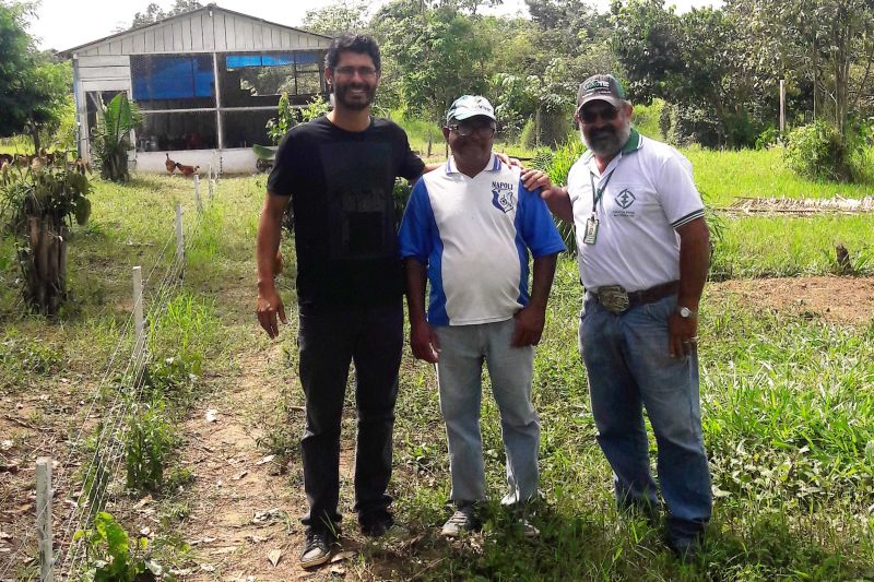Uma Unidade Demonstrativa de abatimento de frango caipira, localizada na chácara do agricultor Milton Lima, área rural do município de Brasil Novo, sudoeste paraense, é referência na região por ser economicamente viável e ambientalmente correta. O projeto conta, desde 2015, com o apoio da Empresa de Assistência Técnica e Extensão Rural do Estado do Pará (Emater) e se tornou exemplo por respeitar o meio ambiente ao não despejar resíduos no solo.  <div class='credito_fotos'>Foto: ASCOM / EMATER   |   <a href='/midias/2019/originais/5209_frango1.jpg' download><i class='fa-solid fa-download'></i> Download</a></div>