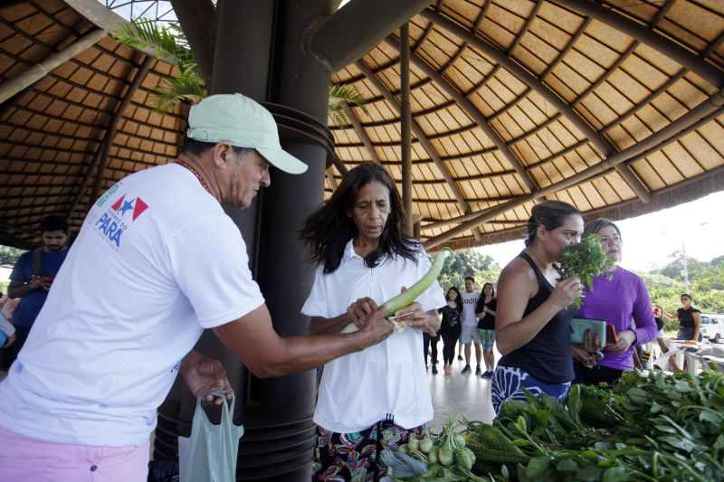 O painel na entrada do Centro de Acolhimento do Parque Estadual do Utinga (PEUt) já chamava a atenção do público visitante por conter informações e imagens de 10 Unidades de Conservação estaduais, que resguardam belezas naturais e a rica biodiversidade da fauna e flora do Estado do Pará. Uma forma de despertar a curiosidade e o interesse de conhecer as áreas protegidas. E, mais que isso, demonstra a importância de estar conectado com a natureza para proteger os ecossistemas. Esse é o principal objetivo da campanha nacional Um Dia no Parque, promovida no último domingo (21), em todo o País. <div class='credito_fotos'>Foto: Maycon Nunes / Ag. Pará   |   <a href='/midias/2019/originais/5210__mg_7239.jpg' download><i class='fa-solid fa-download'></i> Download</a></div>