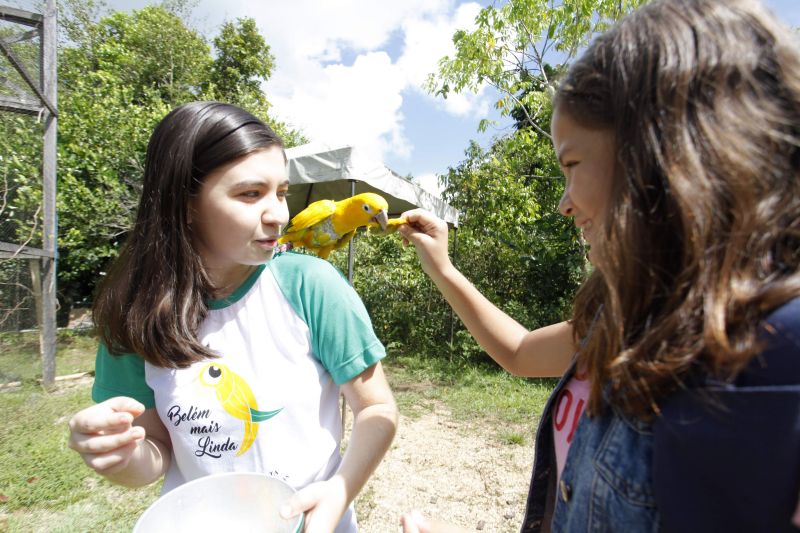 O painel na entrada do Centro de Acolhimento do Parque Estadual do Utinga (PEUt) já chamava a atenção do público visitante por conter informações e imagens de 10 Unidades de Conservação estaduais, que resguardam belezas naturais e a rica biodiversidade da fauna e flora do Estado do Pará. Uma forma de despertar a curiosidade e o interesse de conhecer as áreas protegidas. E, mais que isso, demonstra a importância de estar conectado com a natureza para proteger os ecossistemas. Esse é o principal objetivo da campanha nacional Um Dia no Parque, promovida no último domingo (21), em todo o País. <div class='credito_fotos'>Foto: Maycon Nunes / Ag. Pará   |   <a href='/midias/2019/originais/5210__mg_7525.jpg' download><i class='fa-solid fa-download'></i> Download</a></div>