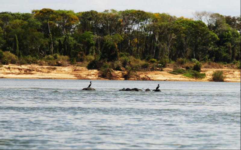 Foto: Bruno Cecim / Ag.Pará