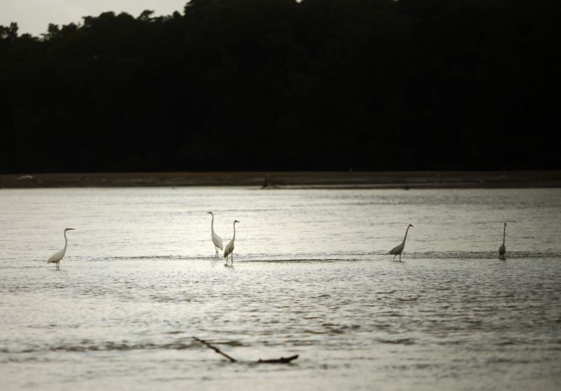 Cotidiano de verão no município de Salinópolis.

FOTO: MAYCON NUNES /AGÊNCIA PARÁ
DATA:27.07.2019
SALINAS-PA <div class='credito_fotos'>Foto: Maycon Nunes / Ag. Pará   |   <a href='/midias/2019/originais/5223__mg_7972-01-1.jpg' download><i class='fa-solid fa-download'></i> Download</a></div>