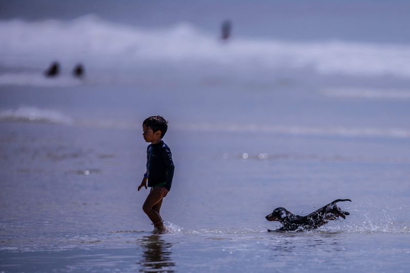 Salinas Verão 2019
DATA:27/07/2019. 
FOTO: Maycon Nunes/Agência Pará.

 <div class='credito_fotos'>Foto: Maycon Nunes / Ag. Pará   |   <a href='/midias/2019/originais/5227_dp20190727_my_4522.jpg' download><i class='fa-solid fa-download'></i> Download</a></div>