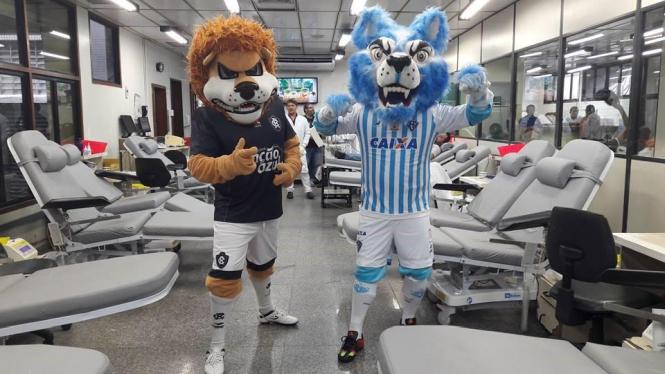 Sem Descrição <div class='credito_fotos'>Foto: Ascom Hemopa   |   <a href='/midias/2019/originais/522a8a42-e6d7-4025-ad57-3e372668bde0.jpg' download><i class='fa-solid fa-download'></i> Download</a></div>