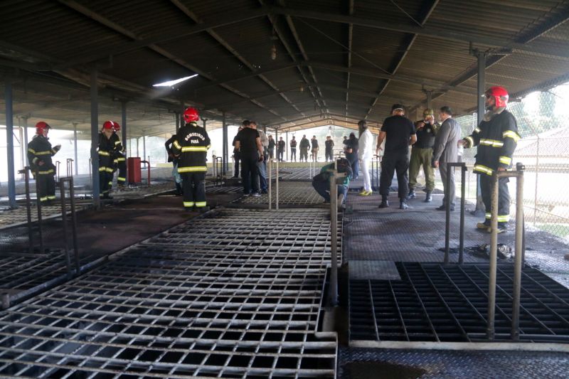 O Gabinete de Gestão da Segurança Pública do Pará determinou a transferência imediata de 46 custodiados da Superintendência do Sistema Penitenciário (Susipe) envolvidos no confronto ocorrido na manhã desta segunda-feira (29), no Centro de Recuperação Regional de Altamira (CRRA), na região oeste.

FOTO: BRUNO CECIM - AGÊNCIA PARÁ
DATA: 29.07.2019
ALTAMIRA - PARÁ <div class='credito_fotos'>Foto: Bruno Cecim / Ag.Pará   |   <a href='/midias/2019/originais/5230_photoeditor_20190729_204533064-2160x14401.jpg' download><i class='fa-solid fa-download'></i> Download</a></div>