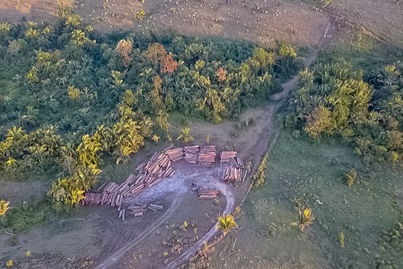 O Governo do Pará vem intensificando o combate ao desmatamento ilegal. Nos últimos cinco dias, equipes da Secretaria de Estado de Meio Ambiente e Sustentabilidade (Semas), em parceria com o Batalhão de Polícia Ambiental (BPA), da Polícia Militar, percorreram 620 quilômetros em cinco municípios. A força-tarefa seguiu de Moju a Tailândia, no sudeste, e de Altamira a Senador José Porfírio, terminando em Anapu, no oeste. <div class='credito_fotos'>Foto: Ebert Paulo / Secom   |   <a href='/midias/2019/originais/5289_img-20190811-wa0004.jpg' download><i class='fa-solid fa-download'></i> Download</a></div>