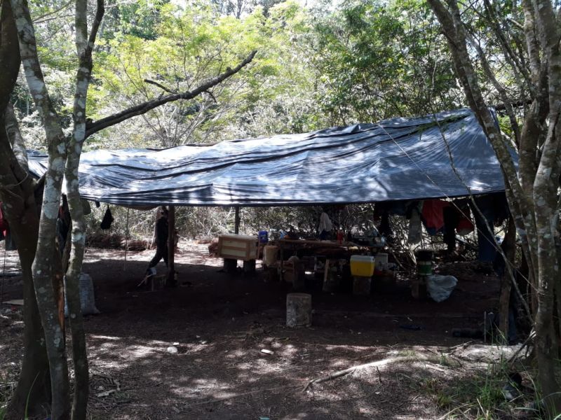 O Governo do Pará vem intensificando o combate ao desmatamento ilegal. Nos últimos cinco dias, equipes da Secretaria de Estado de Meio Ambiente e Sustentabilidade (Semas), em parceria com o Batalhão de Polícia Ambiental (BPA), da Polícia Militar, percorreram 620 quilômetros em cinco municípios. A força-tarefa seguiu de Moju a Tailândia, no sudeste, e de Altamira a Senador José Porfírio, terminando em Anapu, no oeste. <div class='credito_fotos'>Foto: Divulgação   |   <a href='/midias/2019/originais/5289_img-20190812-wa0220.jpg' download><i class='fa-solid fa-download'></i> Download</a></div>