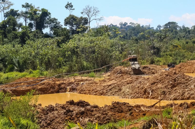 O Governo do Pará vem intensificando o combate ao desmatamento ilegal. Nos últimos cinco dias, equipes da Secretaria de Estado de Meio Ambiente e Sustentabilidade (Semas), em parceria com o Batalhão de Polícia Ambiental (BPA), da Polícia Militar, percorreram 620 quilômetros em cinco municípios. A força-tarefa seguiu de Moju a Tailândia, no sudeste, e de Altamira a Senador José Porfírio, terminando em Anapu, no oeste. <div class='credito_fotos'>Foto: Ronan Frias / Semas   |   <a href='/midias/2019/originais/5289_img_6005.jpg' download><i class='fa-solid fa-download'></i> Download</a></div>